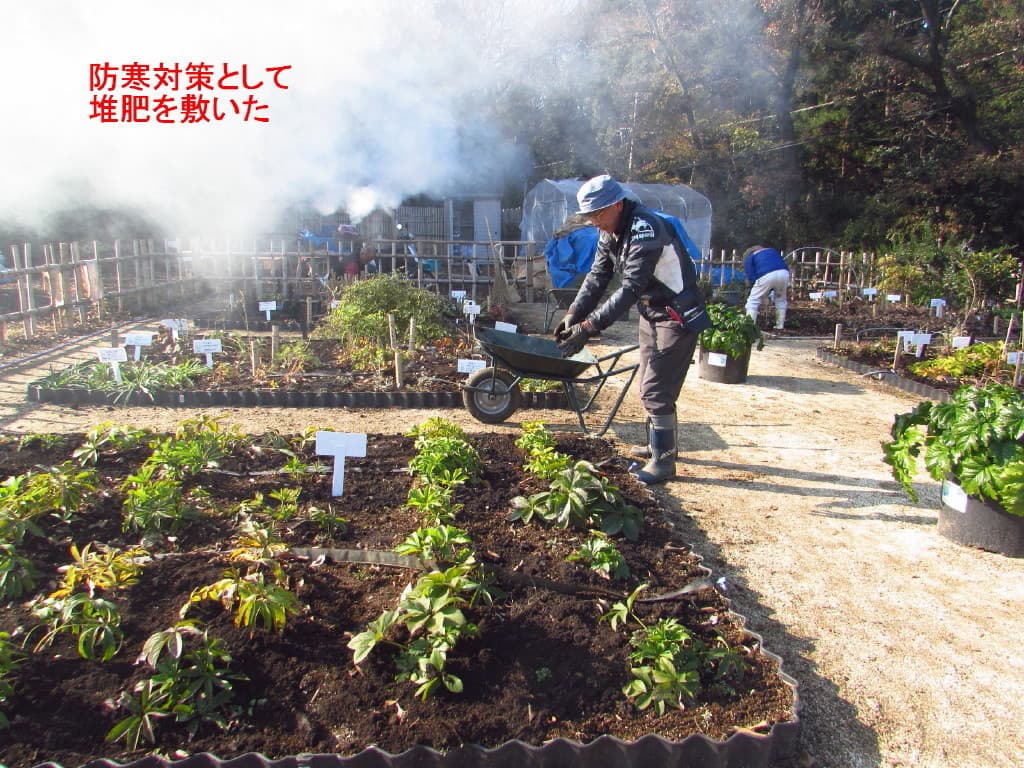 img20191019113704160277.jpg